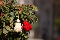 Пролетен 3 март с температури до 17&deg;