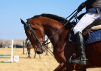 Празник с коне и традиции за Тодоровден в Бачево