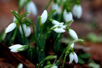 След поредица дни с топло за сезона време - ще започне застудяване