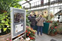 Изложба на орхидеи в Ботаническата градина в София (СНИМКИ)