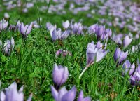 Времето през март: Температури от минус 7 до 26 градуса в първия пролетен месец