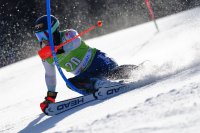 Алберт Попов завърши 28-и в слалома от Световната купа в Кранска гора