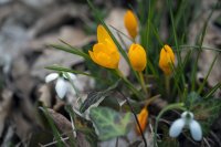 Облачно с превалявания в четвъртък и в петък, слънчево през уикенда