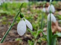 Повече слънчеви часове през почивните дни