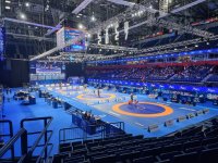 Даниела Бръснарова завърши пета на европейското първенство по борба до 23 години