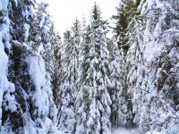 Four Teenagers Found Safe After Getting Stranded in the Area of Maritsa Hut