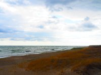 Ветровито и все по-студено в близките дни