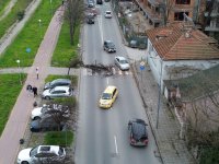 Дърво падна на пешеходна пътека на оживен булевард в Пловдив (СНИМКИ)