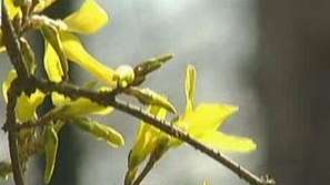 Дъжд, вятър и облаци - така започва седмицата