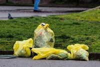 Пролетно почистване и залесяване в София