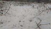Spring Snow Catches Residents in Pernik and Radomir by Surprise