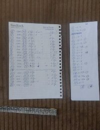 Задържаха в Стара Загора руска гражданка за опит за купуване на гласове