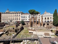 Голямо дърво падна в Рим и рани двама души