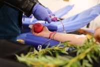 Military Medical Academy Is Organising Blood Donation Campaign on Palm Sunday