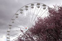 The Highest Ferris Wheel in Bulgaria Opens in Sofia&rsquo;s Knyazheska Garden