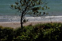 Опасно ветровито остава и в следобедните часове