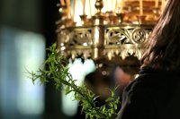 Върбови клонки и послание за доброта на Цветница