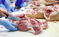 Slaughterhouse near Plovdiv Closed with 36 Tonnes of Unfit Food
