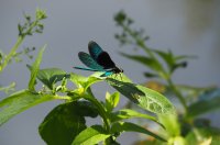 До 17&deg; утре в София, през уикенда ще бъде още по-топло