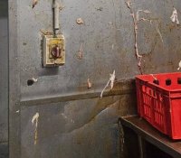 Затвориха кланица край Пловдив с 36 тона негодни храни