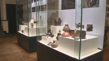 Прачовекът е проговорил най-късно преди 135 000 години, сочи ново геномно проучване