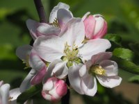 Слънчево време ни очаква в третия ден на Великден