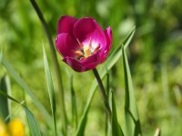 Много слънце и температури над 20&deg; ни очакват през уикенда