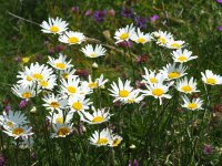 Жълт код за валежи, максималните температури ще са между 13&deg; и 19&deg;