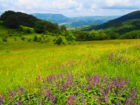 Slight Drop in Temperatures Expected over the Weekend across Bulgaria, Followed by Return to Sunny Weather at the Beginning of Next Week