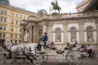 През 2025 г. във Виена са били организирани близо 7200 конференции