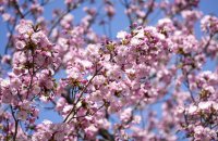 Температурите през почивните дни ще се повишават, в неделя ще надхвърлят 25&deg;