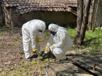 Министър Трайков разпореди да се премахнат радиоактивни отпадъци от терен в кв. &bdquo;Малинова долина&ldquo;