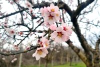 Очаква се застудяване в близките дни