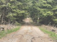 Три месеца след трагедията край &bdquo;Петрохан&ldquo;: Пътят към хижата вече е отворен