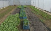 Цената на българската продукция &ndash; от щанда до трапезата