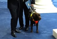 Кой е 241-вият депутат в новия парламент?