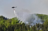 Огнена стихия: Над 100 хектара са изпепелени при горски пожар в Чехия
