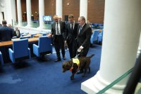 Кой е 241-вият депутат в новия парламент?