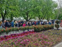 Откриват "Флора Бургас 2026"