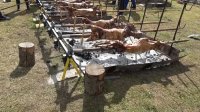 Празника на чевермето в Златоград събра стотици гости от страната и чужбина