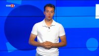 Робот помага на учените да разгадаят как кашалотите общуват помежду си