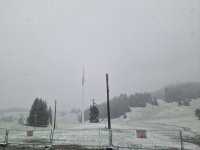 Snow Is Falling in the Higher Parts of the Rhodope Mountains (photos)