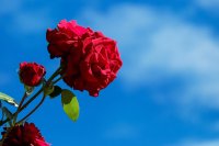 Предупреждение за значителни валежи се очакват