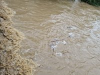 Стара река е излязла от коритото си, част от трасето на пречиствателната станция на Карлово е отнесено от водата
