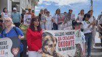 Протести срещу насилието над животни в Бургас, искат зоополиция