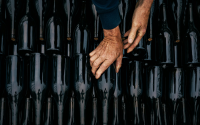 Уникална находка: Показаха ценна колекция от бутилки вино, скрити в чешки замък