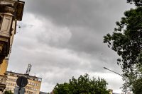 Пет сигнала за паднали дървета тази сутрин в София