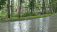 Премахнаха оградата около спорния строеж в местността Баба Алино
