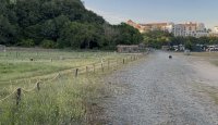 Прокуратурата в Бургас се самосезира за гората край Синеморец
