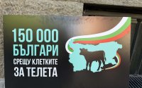 150 000 подписа срещу клетките за телета бяха докарани с мотокар до парламента (СНИМКИ)